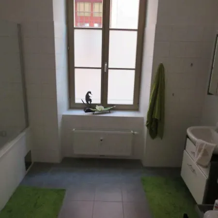 Large Cosy Downtown Flat In City Centre Апартаменты Грац