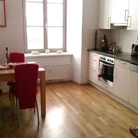 Large Cosy Downtown Flat In City Centre Грац