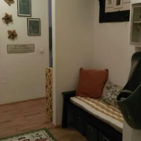 Апартаменты Large Cosy Downtown Flat In City Centre Грац