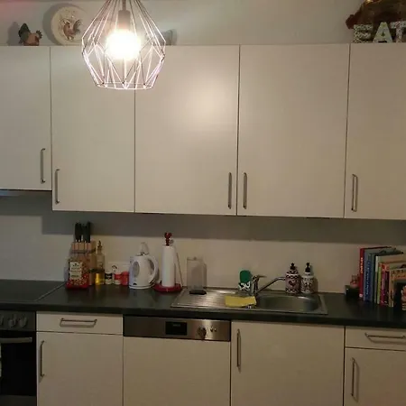 Апартаменты Large Cosy Downtown Flat In City Centre Грац