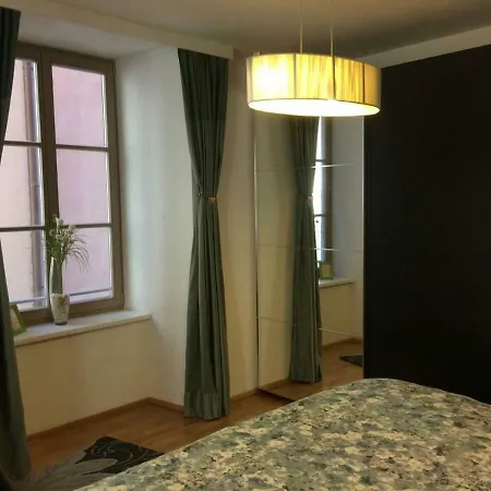 Large Cosy Downtown Flat In City Centre Грац